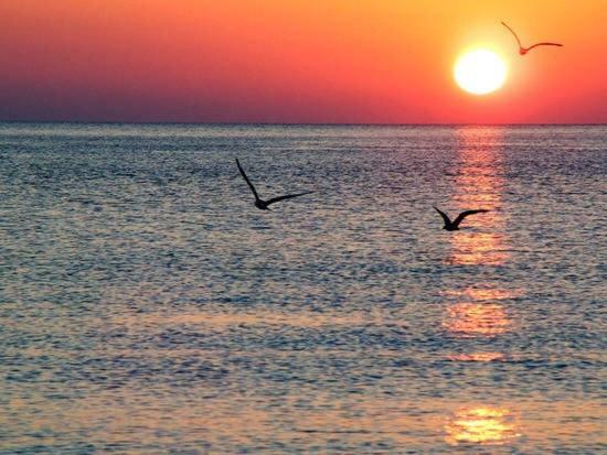 Atico Atalaya Διαμέρισμα Αλικάντε Εξωτερικό φωτογραφία